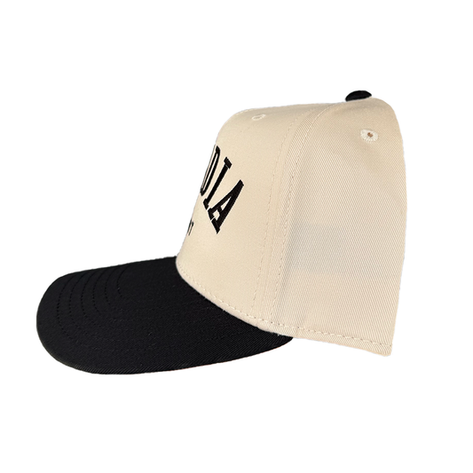 Black Arcadia Bridge Logo Hat